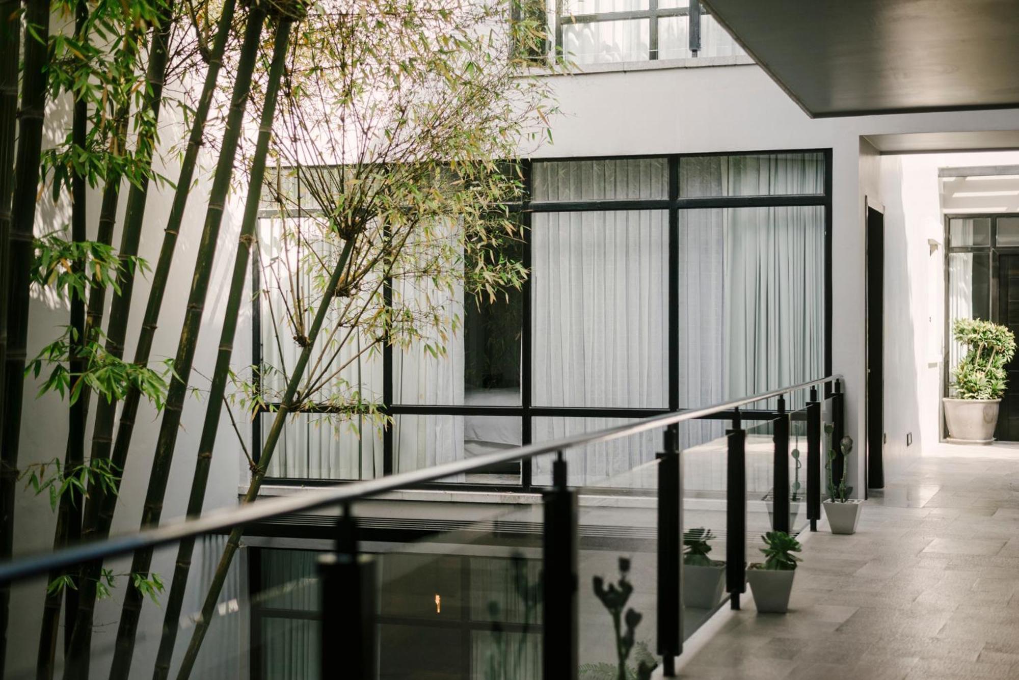 Hotel Matilda, A Member Of Design Hotels San Miguel de Allende Eksteriør bilde